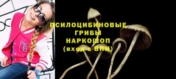 амф Алексеевка