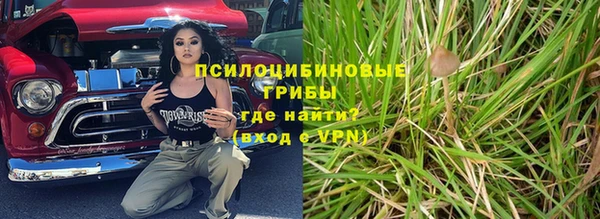 PSILOCYBIN Алзамай