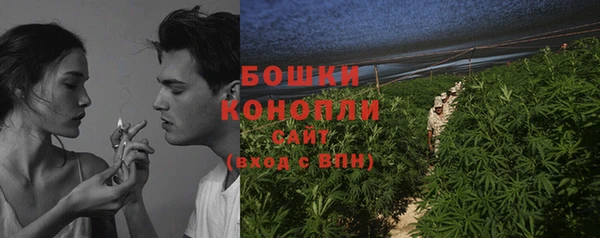 PSILOCYBIN Алзамай