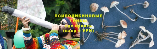 прущие крисы Алексин