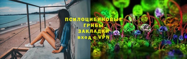 амф Алексеевка