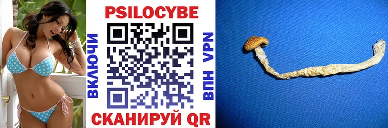 Псилоцибиновые грибы Cubensis  дарнет шоп  Чекалин 